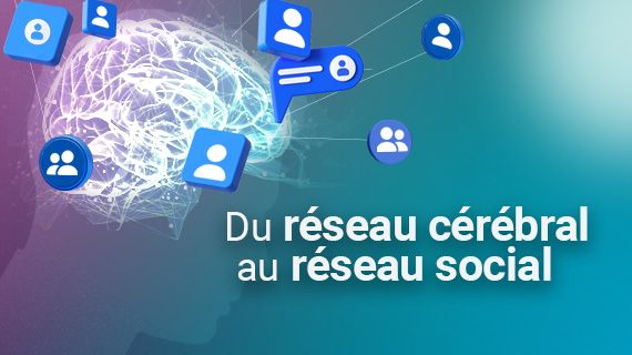 Dossier spécial : du réseau cérébral au réseau social