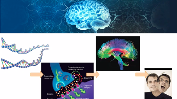Les neurosciences comme outil d’évaluation de la responsabilité pénale