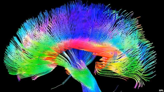 Le neurofeedback en psychiatrie : nouvelles perspectives