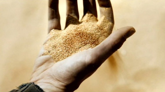 Dune : une vision pour demain ?