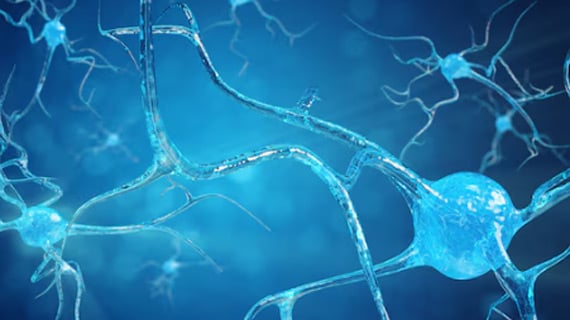 Les grandes innovations en neurosciences