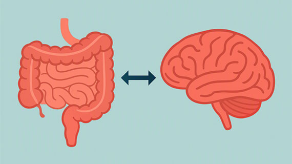Les troubles fonctionnels intestinaux