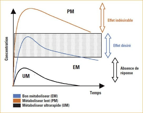 Relation entre phénotype, concentration plasmatique et effet clinique (Revue médicale Suisse)