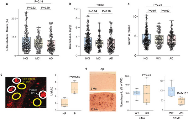 Lithium-et-cerveau-des-pistes-de-recherches-figure3