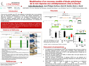 Modélisation d'un nouveau modèle d'étude préclinique de la non réponse aux antidépresseurs chez la souris